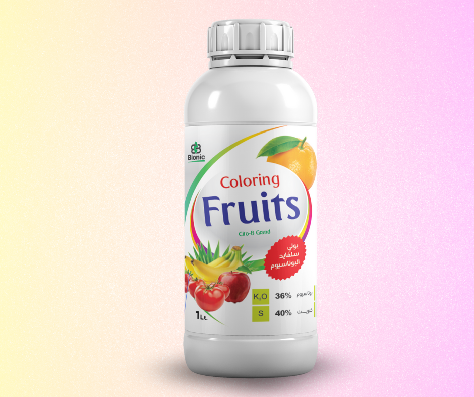 Coloring Fruits