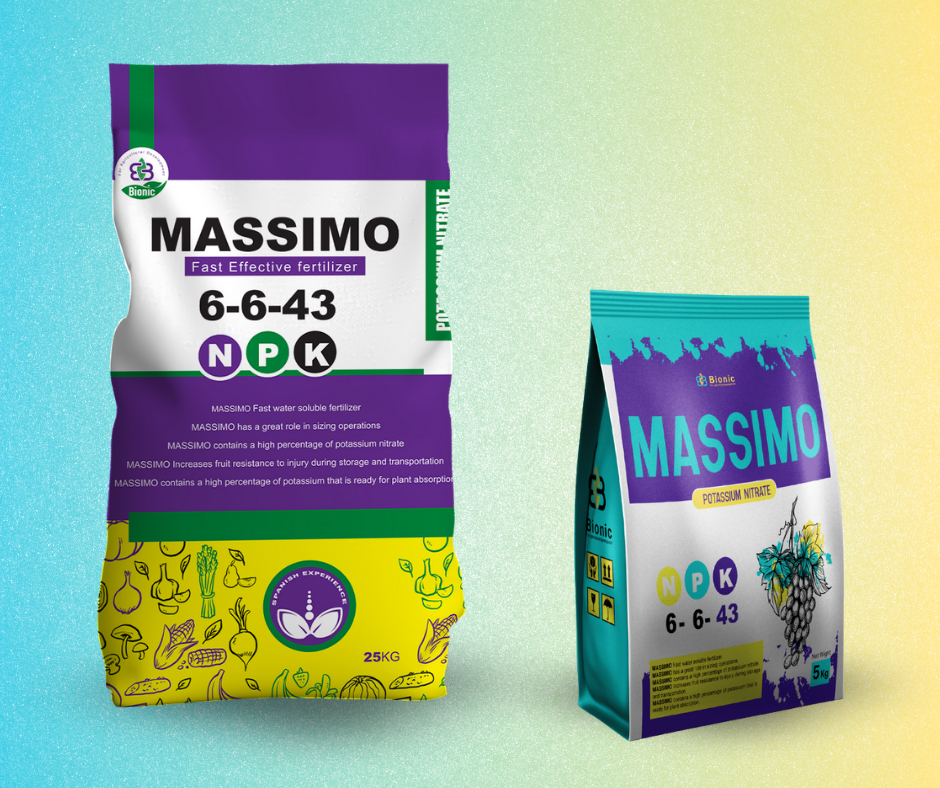 Massimo 1
