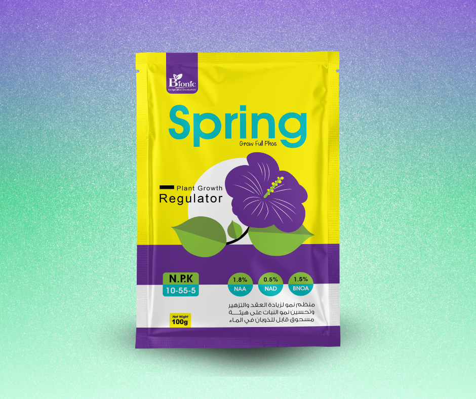 Spring