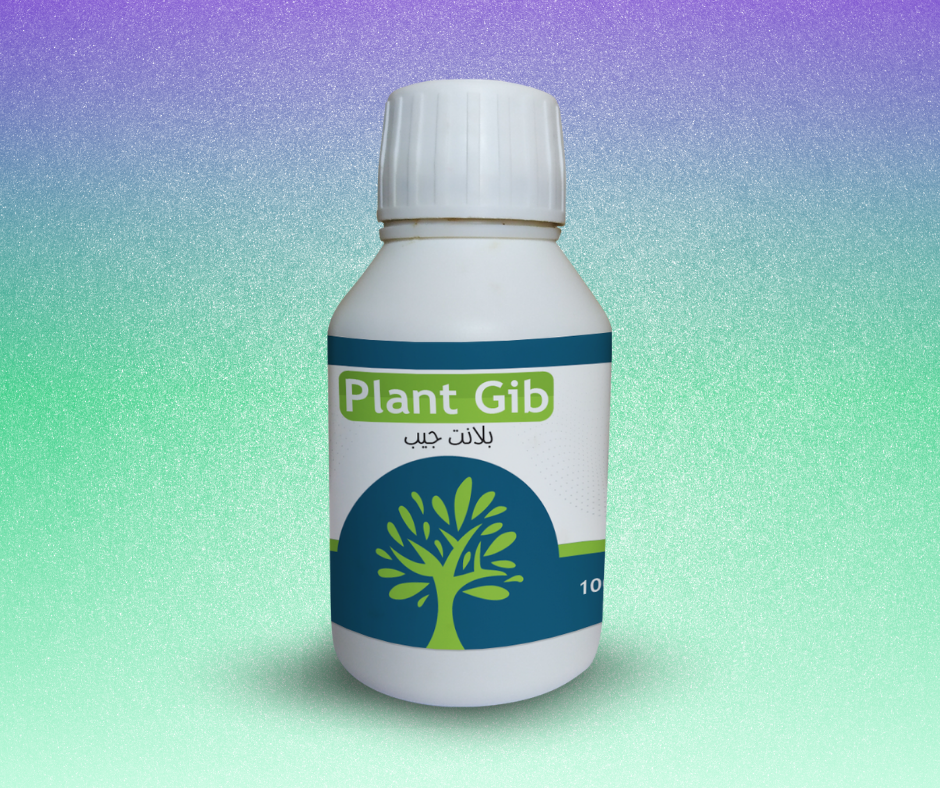 plant Gib